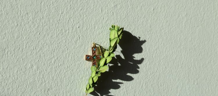 Dieu est fragile : le buis et la croix