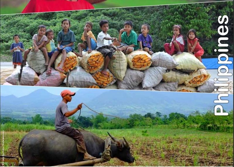 les paysans philippins